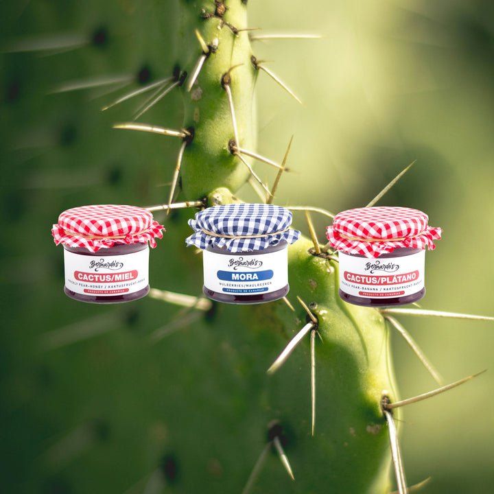 Bernardo's Jam Session