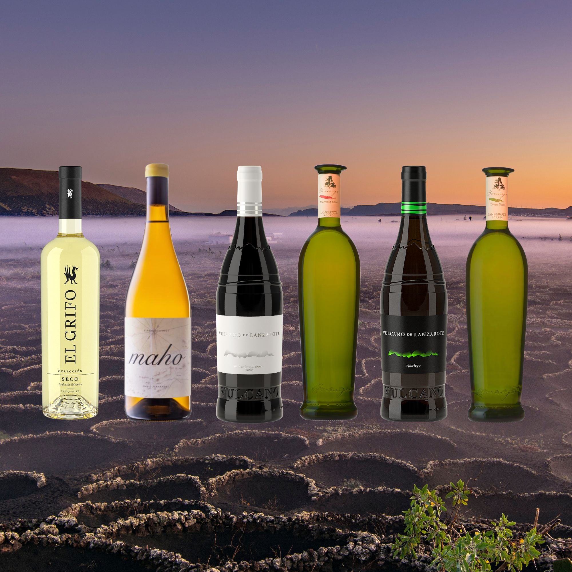 lanzarote tobacco prices 2024 The Lanzarote White Wine Collection – Wine Shop Lanzarote