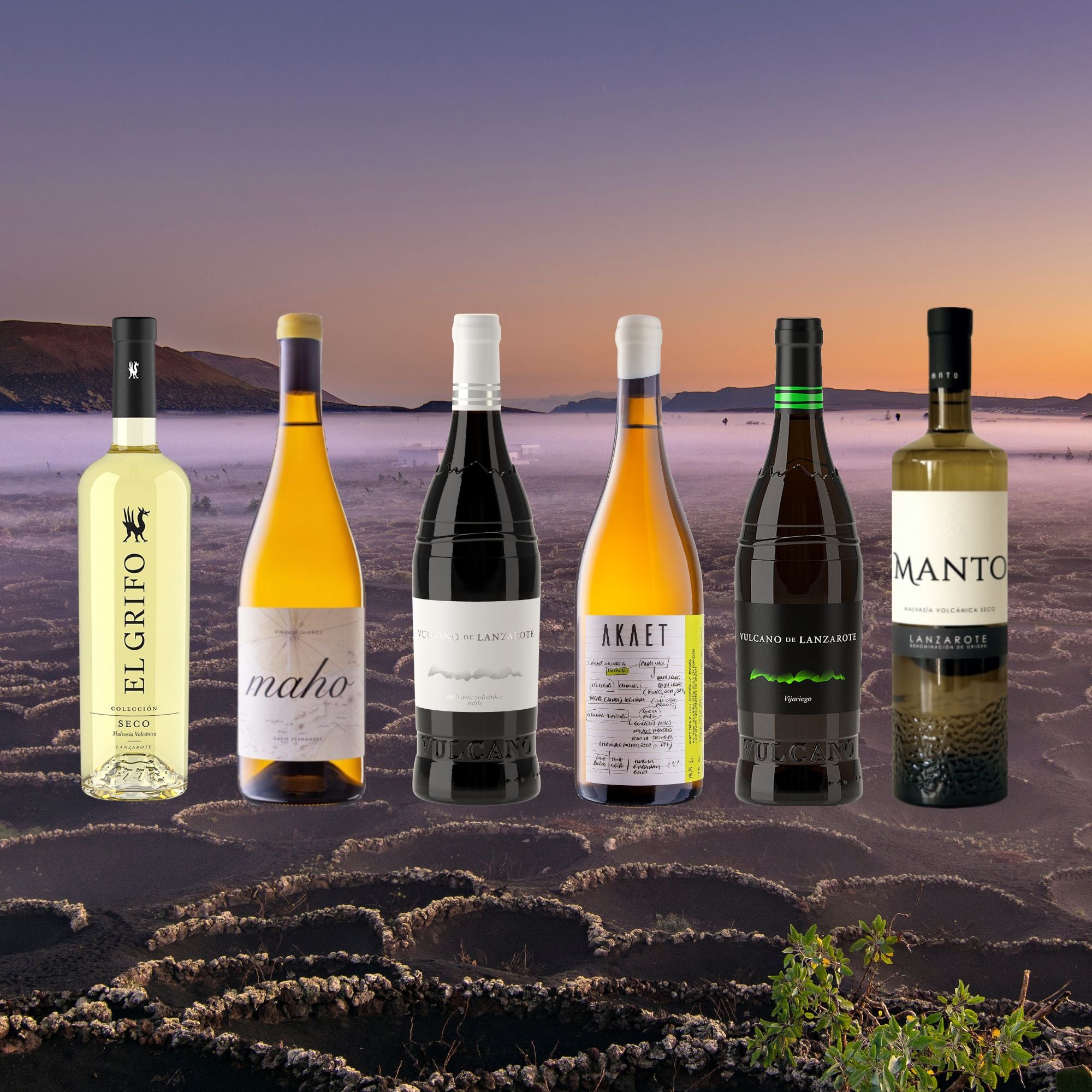 The Lanzarote White Wine Collection – Wine Shop Lanzarote