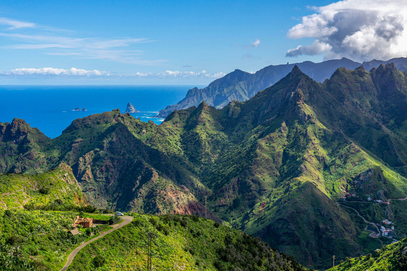 Tenerife Valleys vineyards