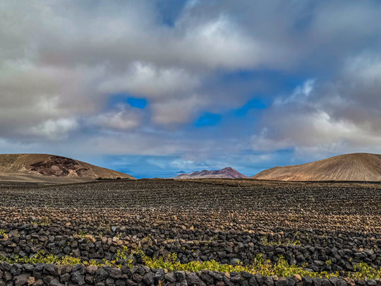 Bodega Las Cadenas: Ein neues Kapitel im Weinbau auf Lanzarote