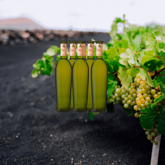Bermejo Malvasia Volcanica Seco 2022