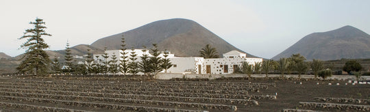 Bodegas Los Bermejos – Innovation und Tradition
