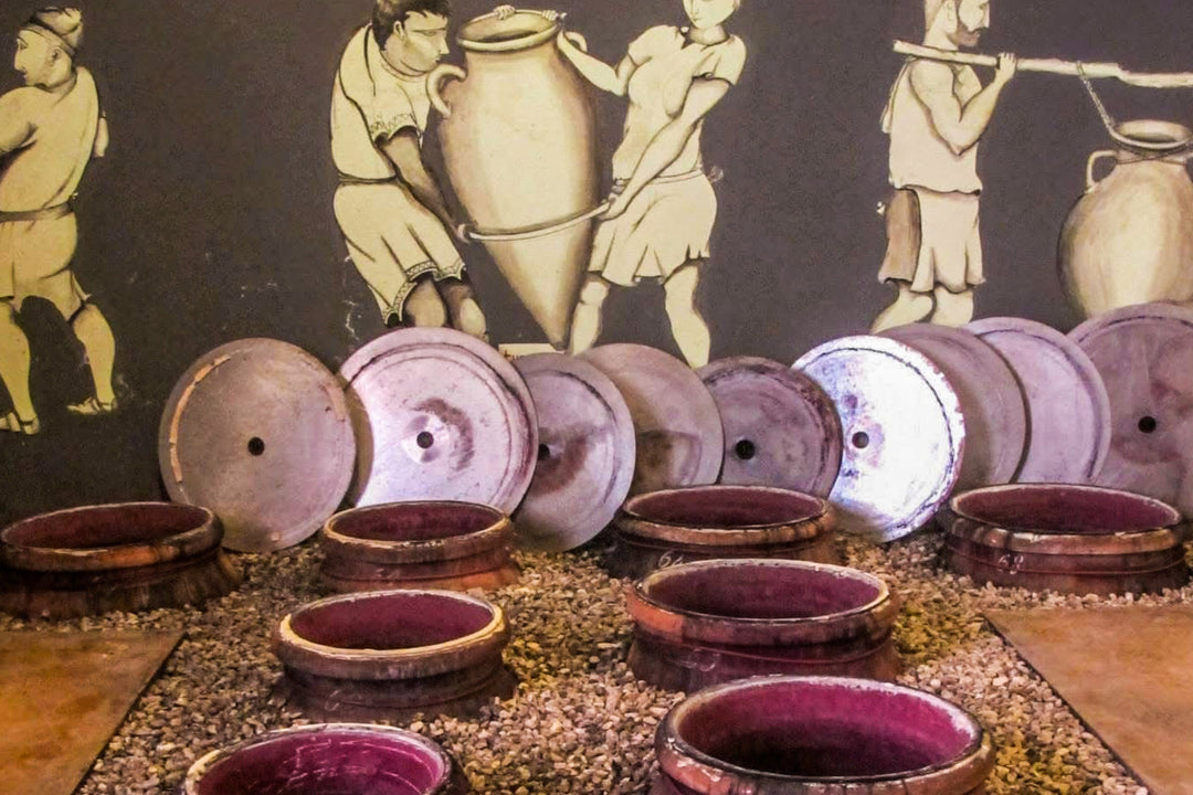 Skin-Contact Stories: The Origin of Orange Wine