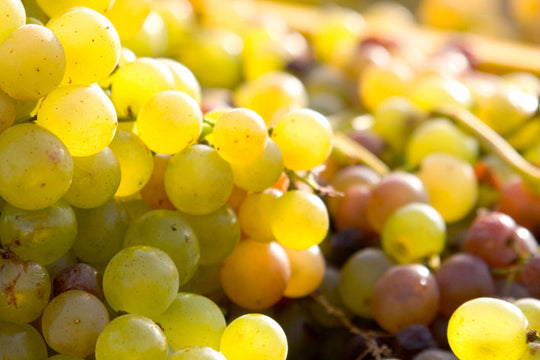 Canary Island Sweet Wines
