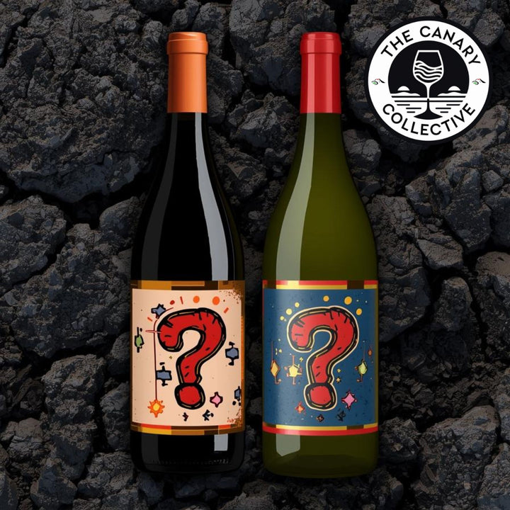 The Canary Collective