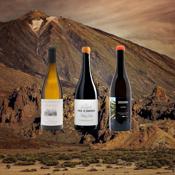 The Tenerife Collection