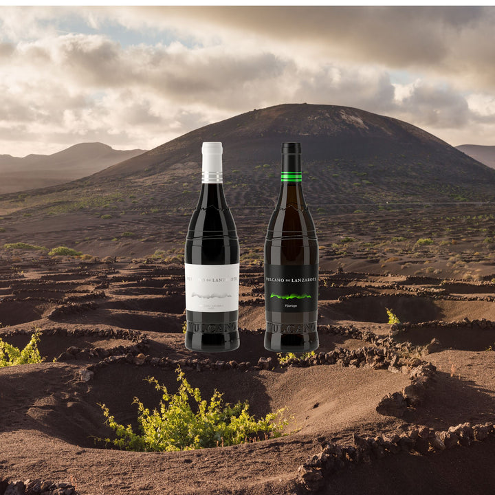 Bodega Vulcano Vintage Collection