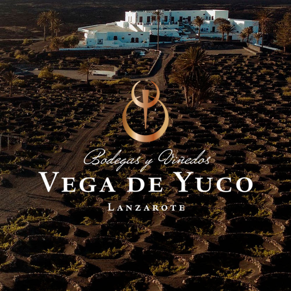 Bodega Vega De Yuco